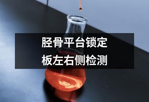 脛骨平臺(tái)鎖定板左右側(cè)檢測