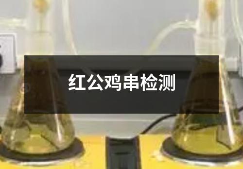 紅公雞串檢測