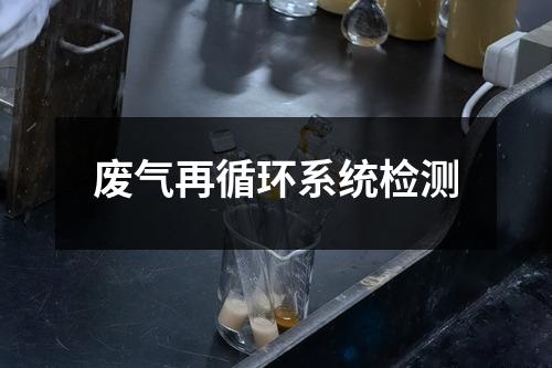 廢氣再循環(huán)系統(tǒng)檢測