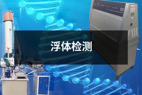 浮體檢測