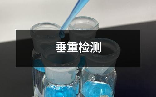 垂重檢測(cè)