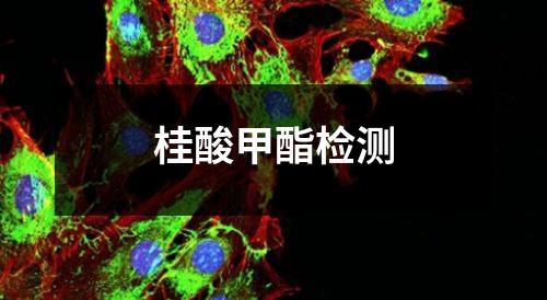 桂酸甲酯檢測