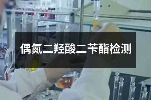 偶氮二羥酸二芐酯檢測