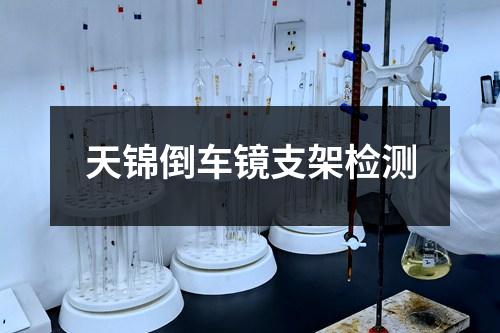 天錦倒車鏡支架檢測