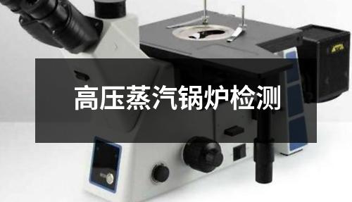 高壓蒸汽鍋爐檢測