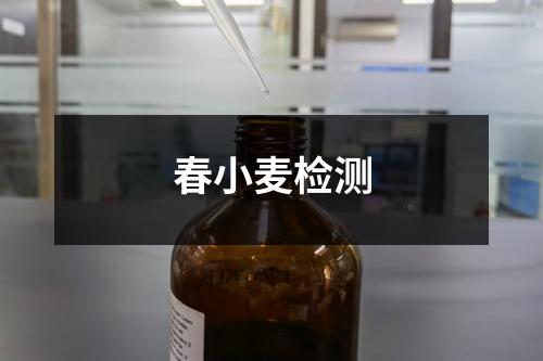 春小麥檢測
