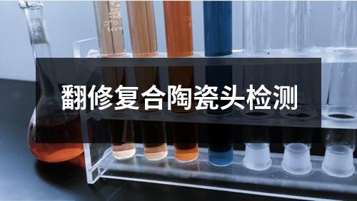 翻修復(fù)合陶瓷頭檢測