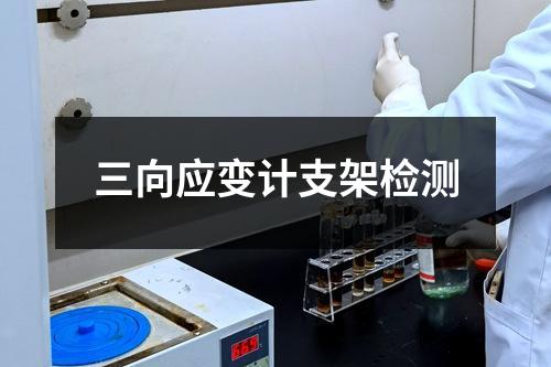 三向應(yīng)變計(jì)支架檢測