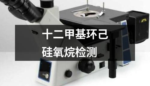 十二甲基環(huán)己硅氧烷檢測