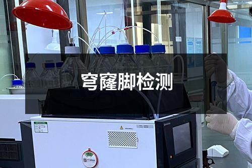 穹窿腳檢測(cè)