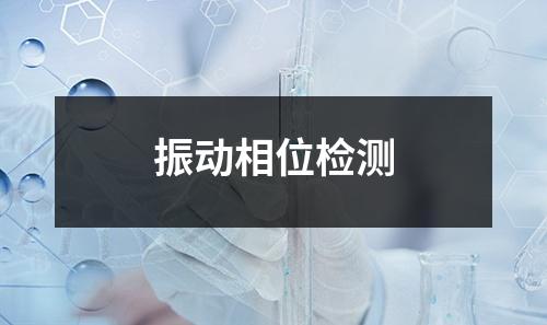 振動(dòng)相位檢測(cè)