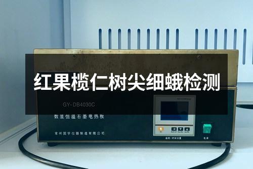 紅果欖仁樹尖細蛾檢測