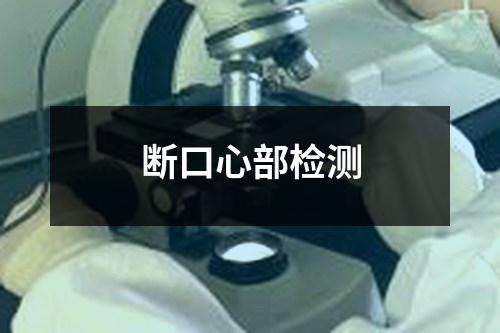斷口心部檢測