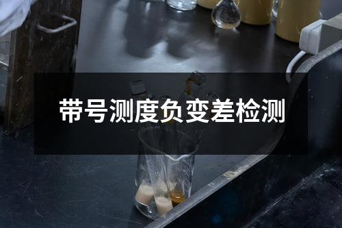 帶號測度負(fù)變差檢測