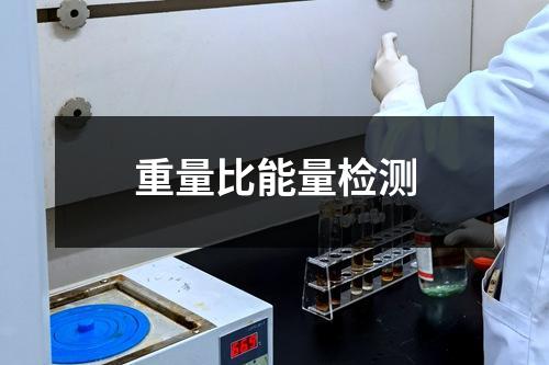 重量比能量檢測