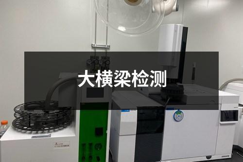 大橫梁檢測