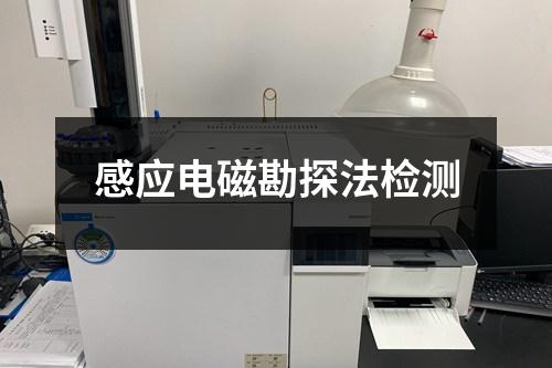 感應(yīng)電磁勘探法檢測