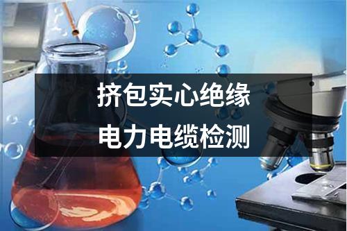 擠包實(shí)心絕緣電力電纜檢測