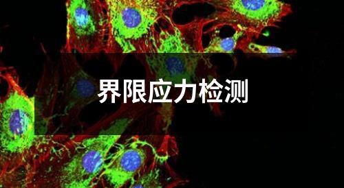 界限應(yīng)力檢測(cè)