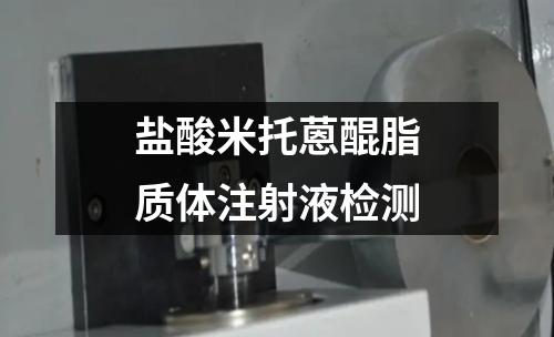 鹽酸米托蒽醌脂質(zhì)體注射液檢測