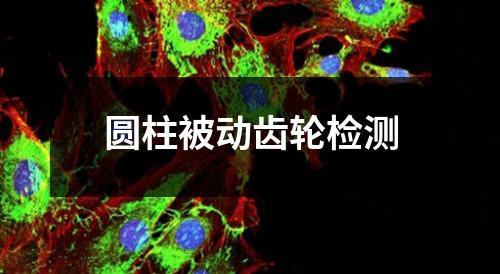 圓柱被動齒輪檢測