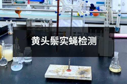 黃頭鬃實(shí)蠅檢測(cè)