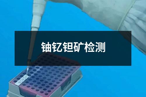 鈾釔鉭礦檢測(cè)