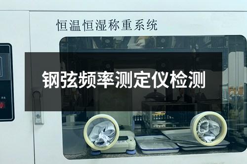 鋼弦頻率測(cè)定儀檢測(cè)