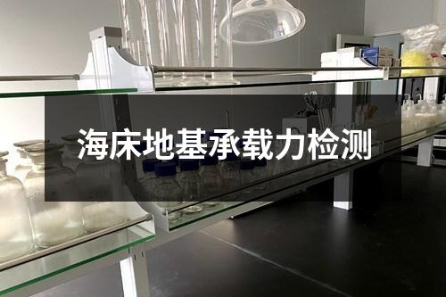 海床地基承載力檢測