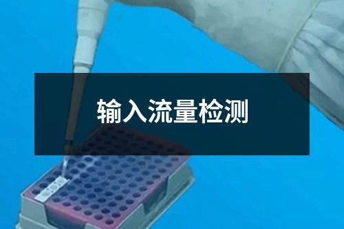輸入流量檢測
