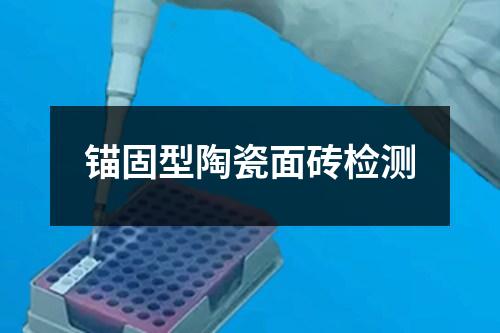 錨固型陶瓷面磚檢測(cè)