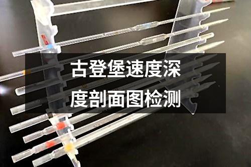 古登堡速度深度剖面圖檢測