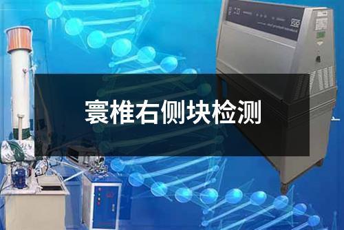 寰椎右側(cè)塊檢測(cè)