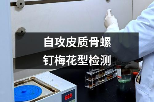自攻皮質(zhì)骨螺釘梅花型檢測