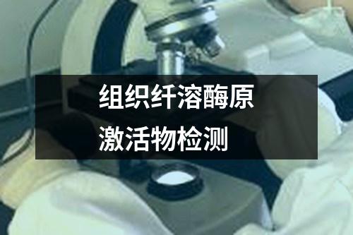 組織纖溶酶原激活物檢測(cè)