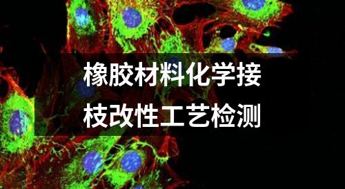 橡膠材料化學接枝改性工藝檢測