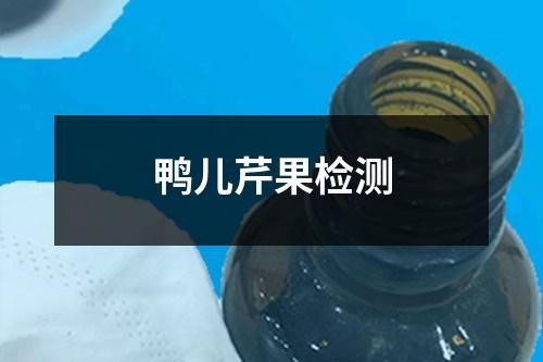鴨兒芹果檢測(cè)