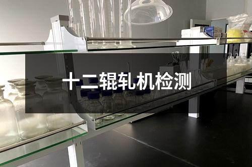 十二輥軋機檢測