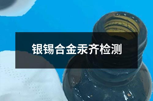 銀錫合金汞齊檢測(cè)