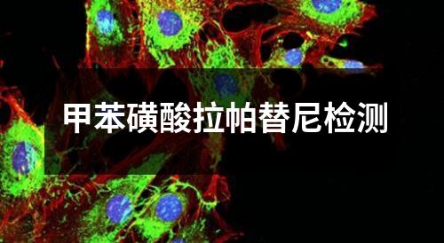 甲苯磺酸拉帕替尼檢測