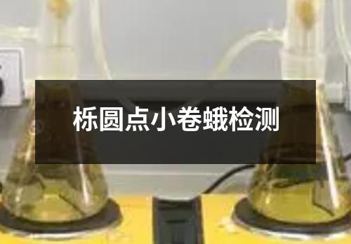 櫟圓點(diǎn)小卷蛾檢測(cè)