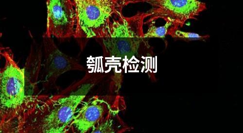 瓠殼檢測