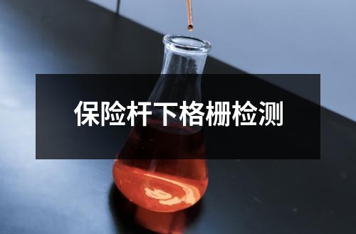 保險桿下格柵檢測