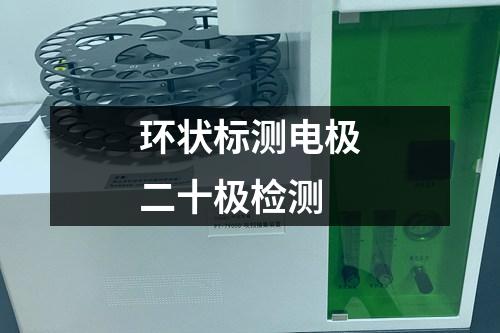 環(huán)狀標(biāo)測電極二十極檢測