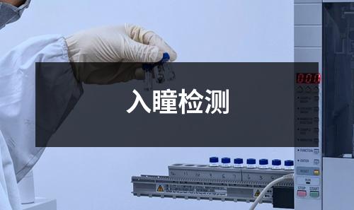 入瞳檢測