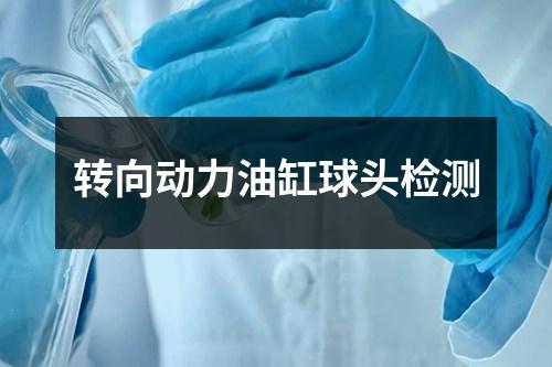 轉(zhuǎn)向動力油缸球頭檢測