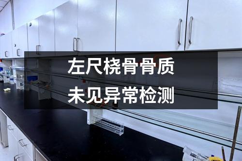 左尺橈骨骨質(zhì)未見(jiàn)異常檢測(cè)