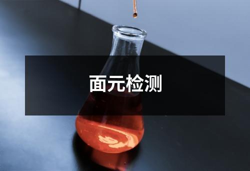 面元檢測