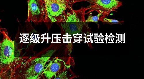 逐級升壓擊穿試驗檢測