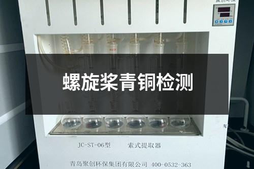 螺旋槳青銅檢測